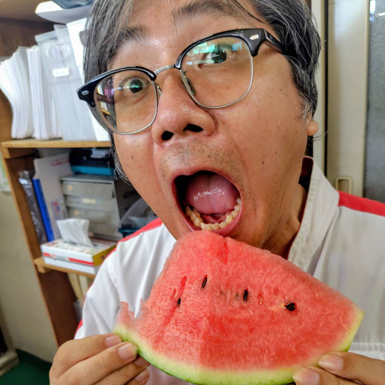 今年もスイカの季節がやってきました🍉